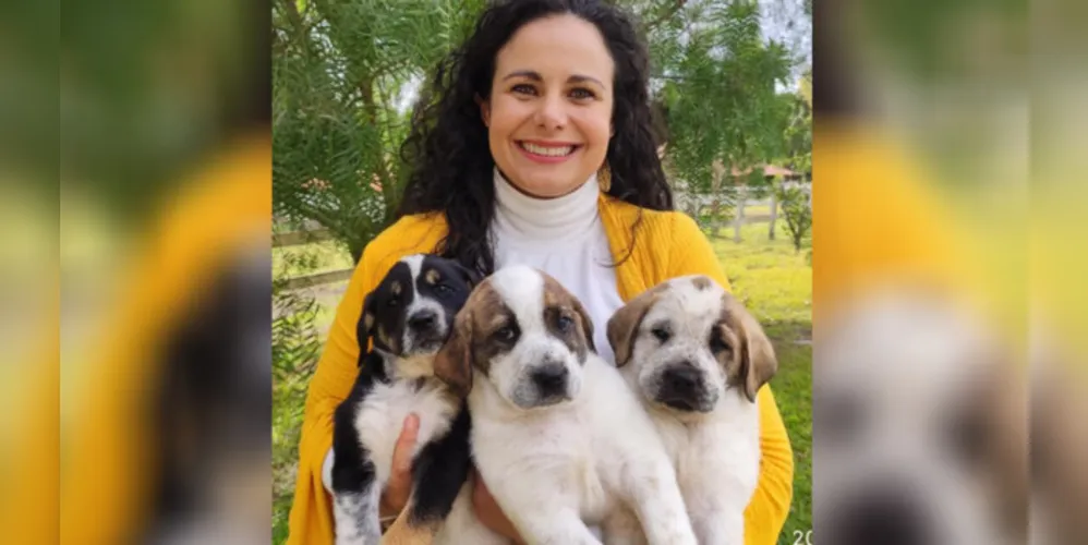 A Médica Veterinária e Diretora de Relações Institucionais das Faculdades Cescage, Prof. Dra. Érika Zanoni Fagundes Cunha, lançou sete manuais sobre comportamentos de animais e seus tutores.