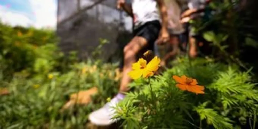 Menos pessoas, mais animais. É assim que tem ocorrido em Mato Grosso do Sul, como relata o diretor-presidente da Fundtur.