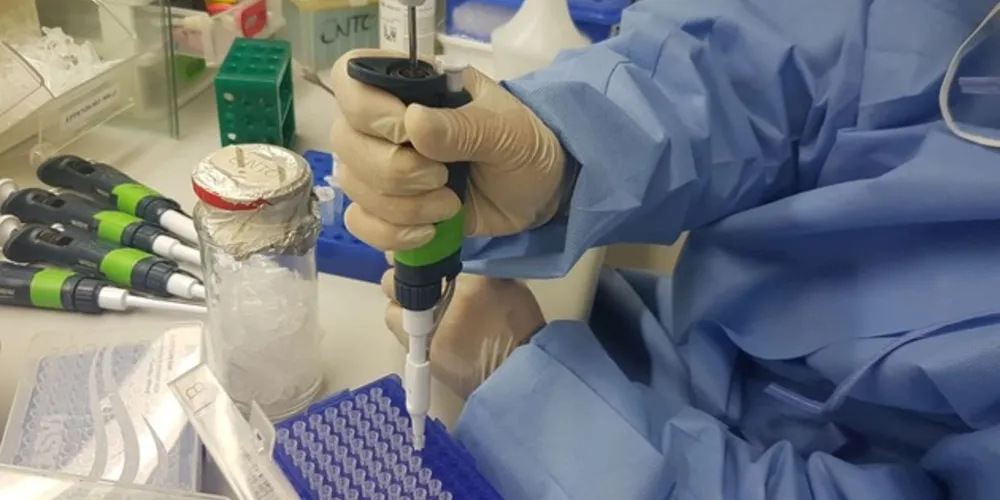  vírus identificado no Paraná é caracterizado como uma nova variante porque apresenta configurações genéticas diferentes de outros vírus influenza A. 