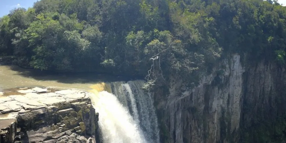 As estratégias envolvem a conservação da natureza, a educação e a promoção do desenvolvimento econômico sustentável das comunidades locais.