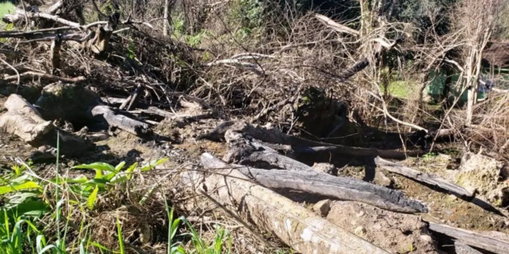A conduta delituosa rendeu multa ambiental no valor de R$ 10.500,00.