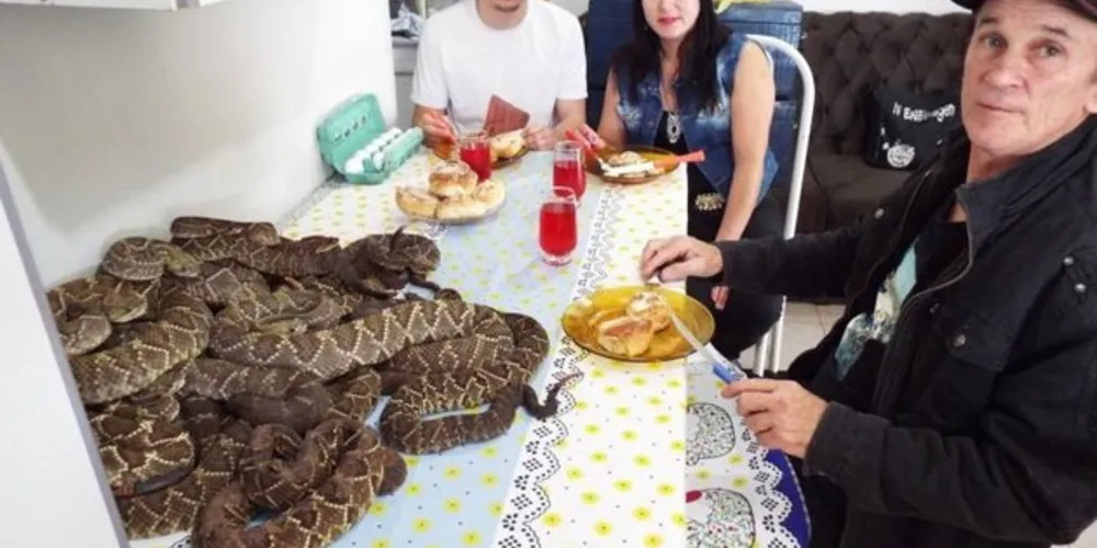 Dirley, a esposa, o filho e… as cobras