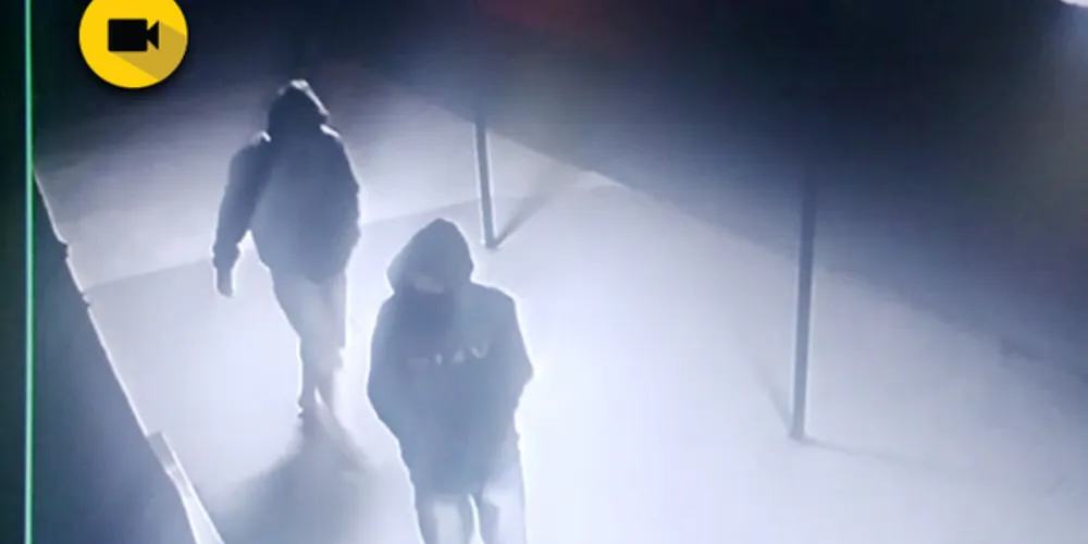 Imagem ilustrativa da imagem GM prende dupla suspeita de roubar trailer de lanches