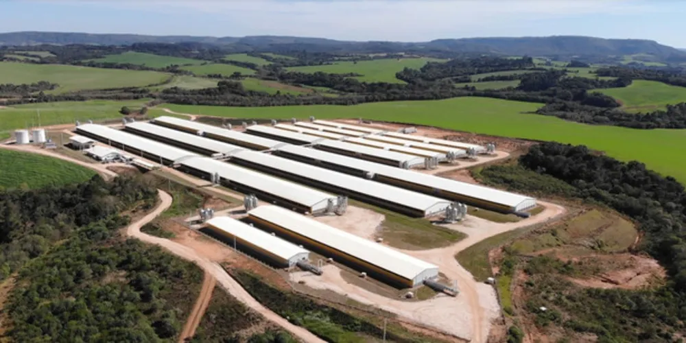  Investimento foi realizado no município de Piraí do Sul, na região dos Campos Gerais