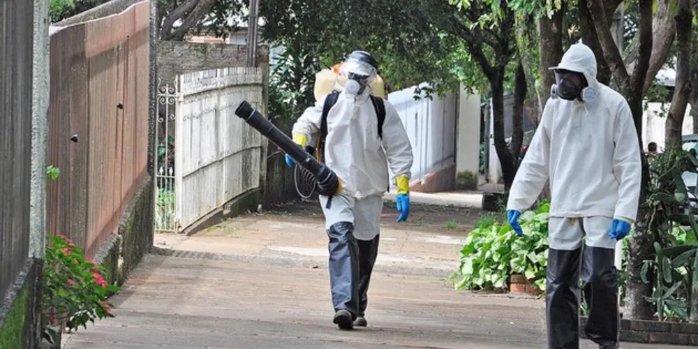 A Secretaria de Saúde do Paraná afirma que neste ano houve um aumento de 100% nos casos de dengue e um aumento de 80% no total de mortes. 