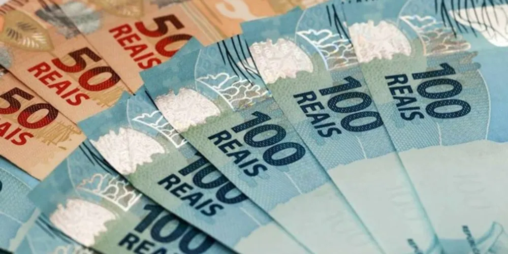 O Banco Central informou nesta quarta-feira (29) que o Conselho Monetário Nacional (CMN) aprovou o lançamento da cédula de R$ 200, que terá como personagem o lobo-guará.
