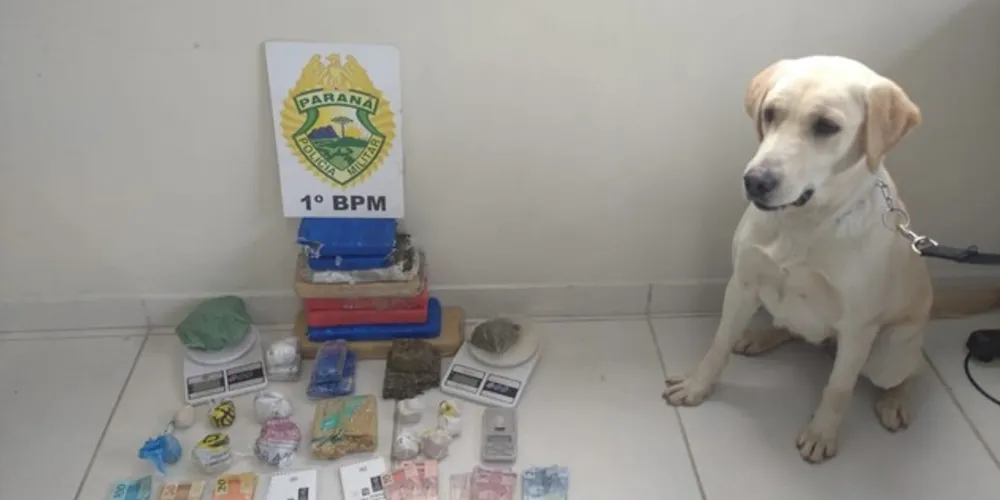 Parte da droga estava escondida em mala de viagem encontrada por Luna