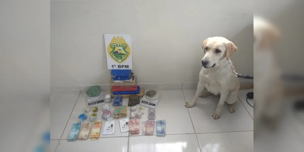 Parte da droga estava escondida em mala de viagem encontrada por Luna