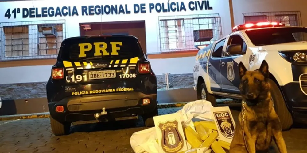 Cão de faro da GM de Irati encontrou droga escondida no forro das portas e estofamento dos bancos