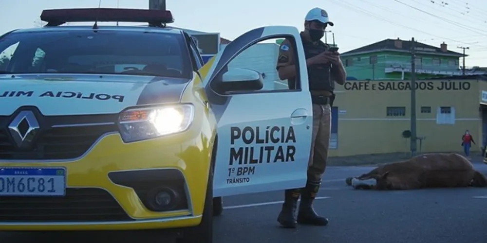 Imagem ilustrativa da imagem Cavalo morre após ser atropelado na Ronda