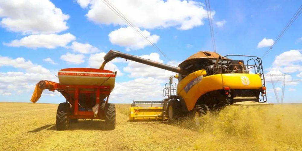 Tibagi, Castro e Ponta Grossa são os maiores produtores de soja dos Campos Gerais