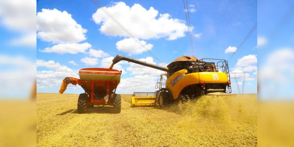 Tibagi, Castro e Ponta Grossa são os maiores produtores de soja dos Campos Gerais