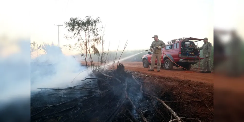 Imagem ilustrativa da imagem Estiagem no Paraná aumenta risco de incêndios ambientais