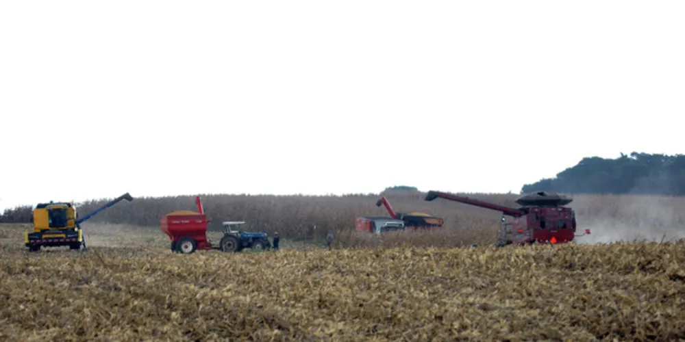 Imagem ilustrativa da imagem VBP do Paraná cresce 9% e atinge recorde de R$ 97 bi