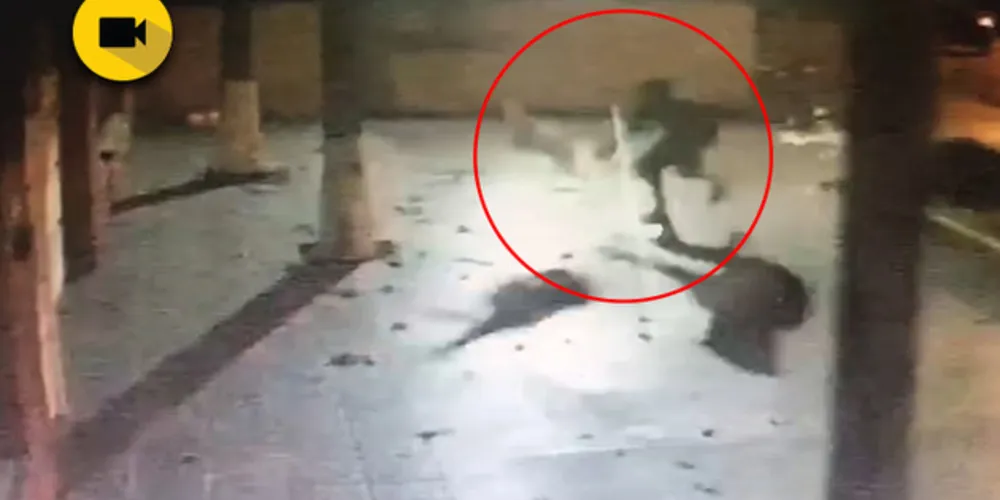 O criminoso usou uma escada para pular o muro de aproximadamente quatro metros de altura. Nas imagens é possível ver que um carro esperava o criminoso do lado de fora.