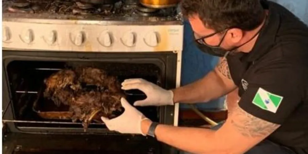 Delegado Matheus Laiola comanda as investigações