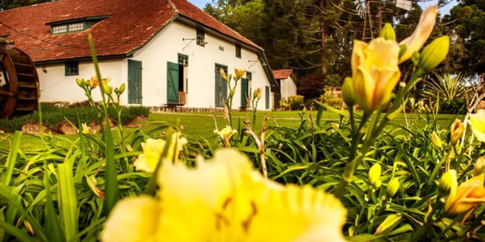 Gestores e historiadores respondem sobre as dificuldades enfrentadas nos museus neste período, as inovações e o pós-pandemia
