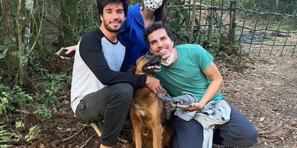 Cão foi encontrado na região Metropolitana de Curitiba