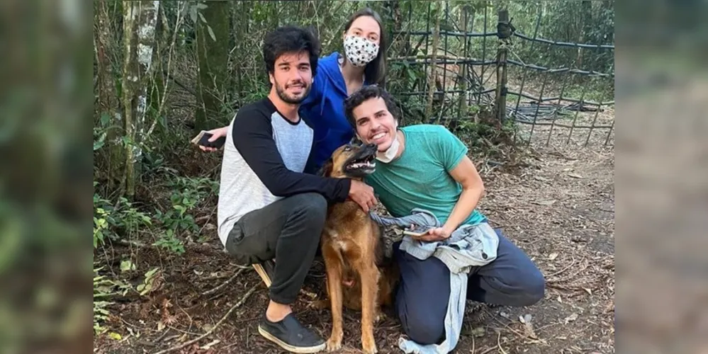 Cão foi encontrado na região Metropolitana de Curitiba