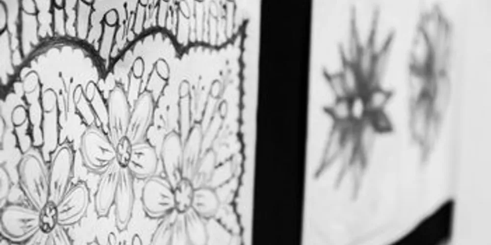 A artista desenha flores desde os 12 anos e decidiu mostrar a arte para a população de Irati