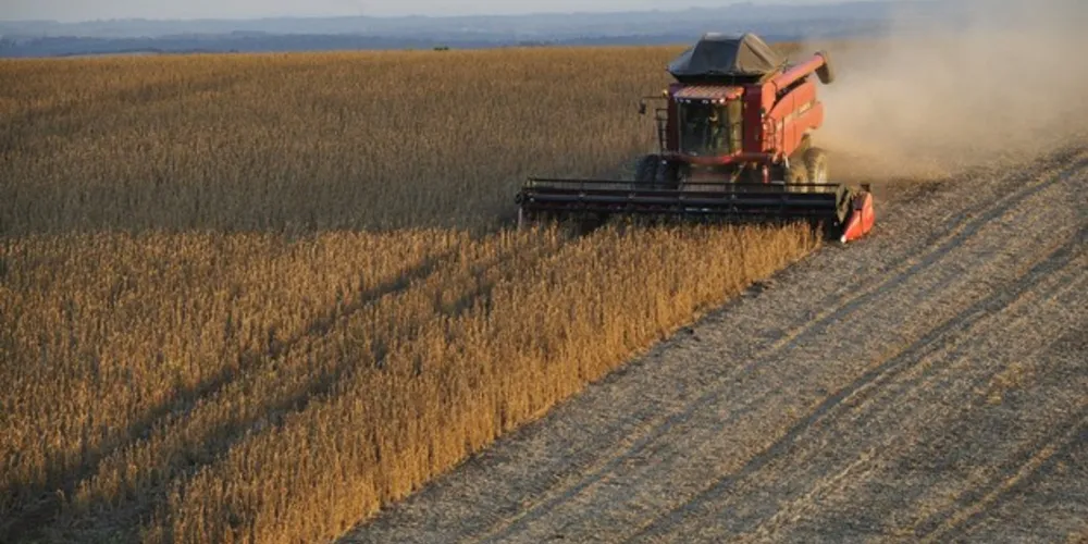 São mais de 575 mil toneladas de embalagens vazias de defensivos agrícolas corretamente destinadas desde 2002.