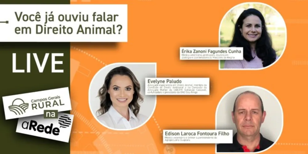 Imagem ilustrativa da imagem Especialistas debatem sobre os direitos e o bem-estar dos animais