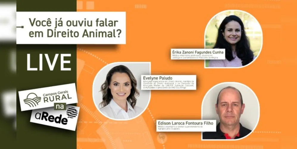 Imagem ilustrativa da imagem Especialistas debatem sobre os direitos e o bem-estar dos animais
