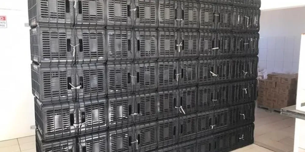 Ao todo foram entregues 244 equipamentos, sendo uma van furgão, uma lavadora de alta pressão, um elevador de pallets, dois carrinhos plataforma, duas balanças digitais, 177 caixas plásticas e 60 pallets.