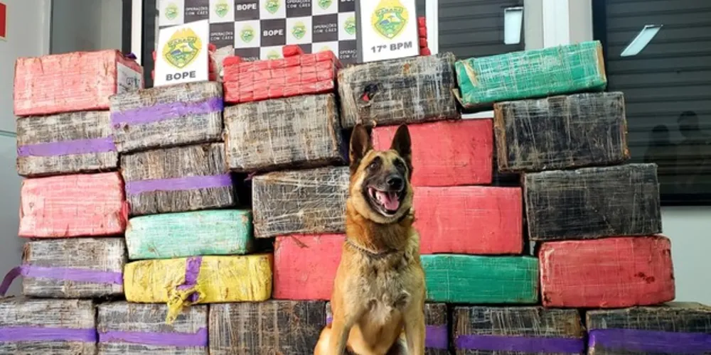 Veículo transportava maconha de Reserva com destino a Curitiba