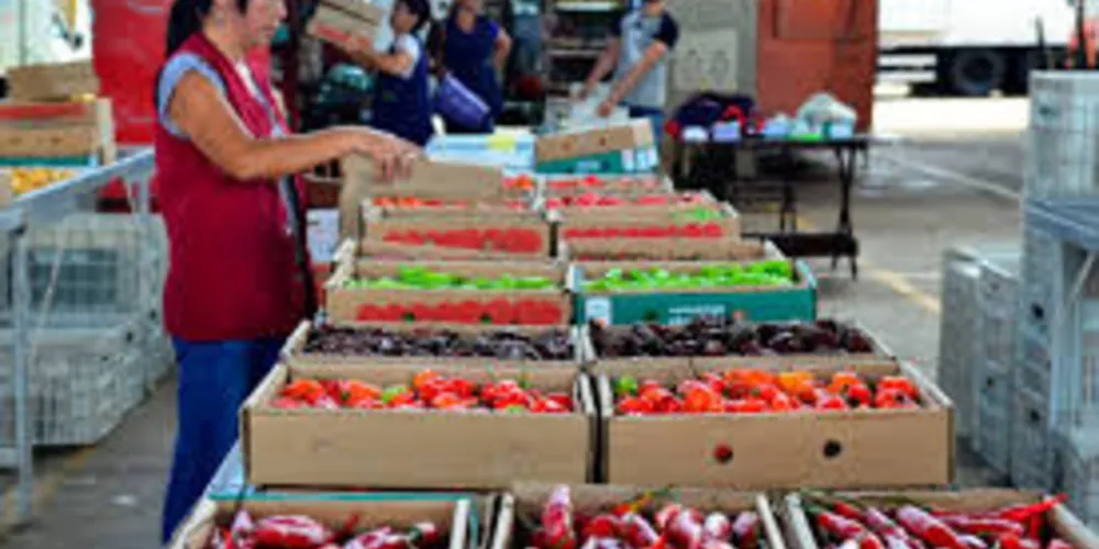 "As pessoas não devem temer alimentos, embalagens de alimentos ou entrega de alimentos", disse o chefe do Programa de Emergências da OMS, Mike Ryan.