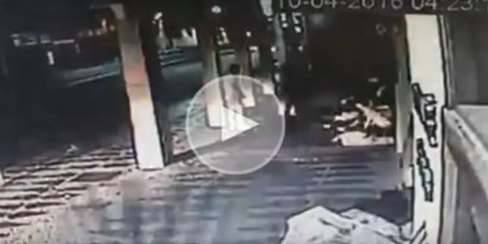 Vídeo mostra momento exato em que policial militar atira contra a cadela