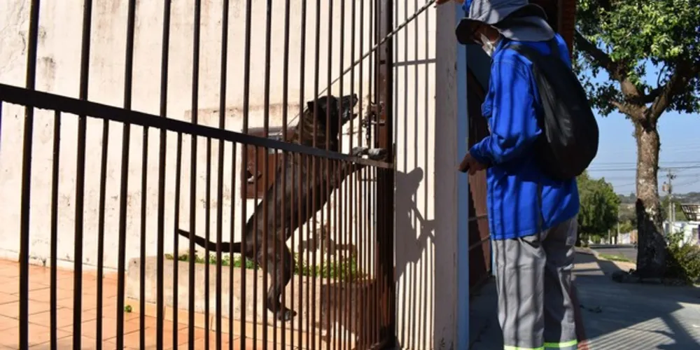 A Copel vem registrando um acidente a cada 15 dias, em média, com mordedura canina. 