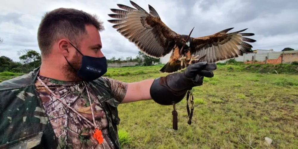 Em entrevista ao portal aRede, o profissional revelou aspectos do adestramento, da prestação de serviço e do contato junto ao reino animal.