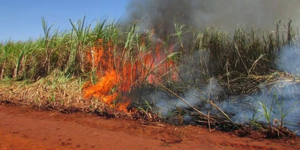 A prática é comum nas lavouras de cana-de-açúcar e, com a estiagem, estava comprometendo a qualidade do ar e a saúde da população.