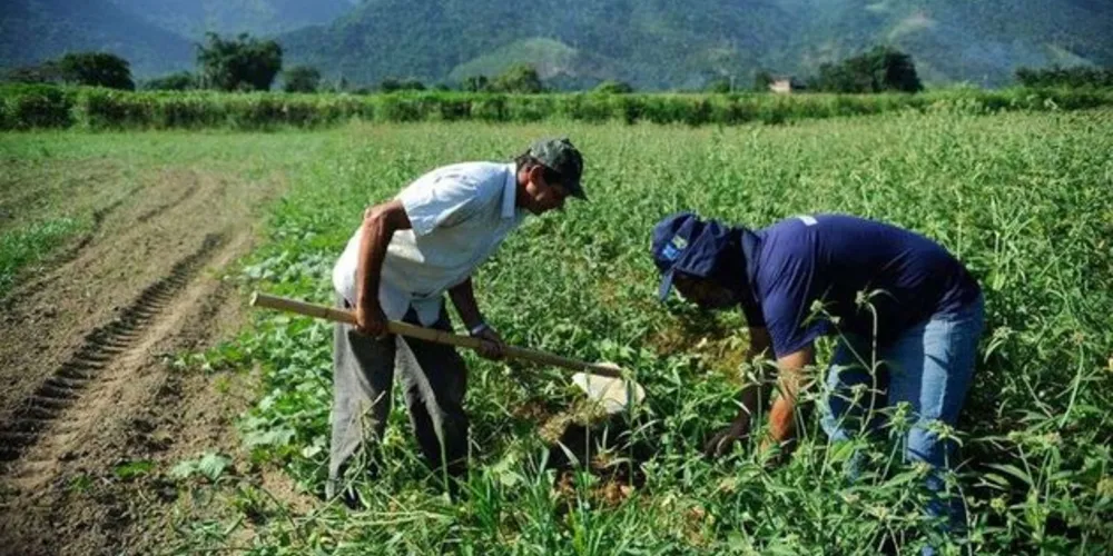 Jair Bolsonaro, vetou praticamente todas as medidas emergenciais de amparo aos agricultores familiares aprovadas pelo Congresso no início deste mês para mitigar os impactos socioeconômicos da covid-19 para esse público. 