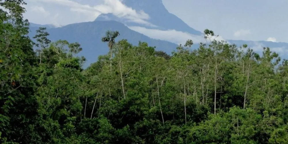 A reabertura deverá respeitar as ações de prevenção e a retomada das atividades de turismo e atrativos naturais estabelecidos pelos estados e municípios.