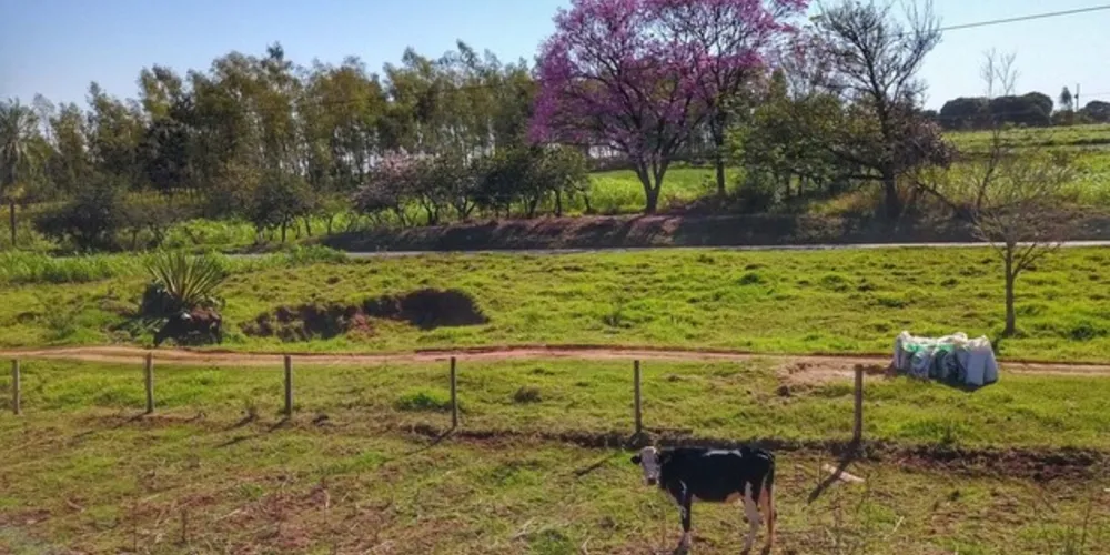 Como a terra que ocupam não são pertencentes ao Estado, a regularização se dá por ação de usucapião.