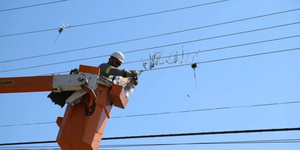 O objetivo é evitar desligamentos de energia no período mais chuvoso do ano.