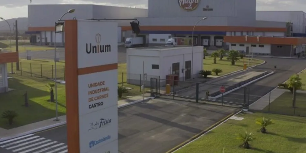 Desde a criação, a Unium também conquistou resultados mais expressivos de produção