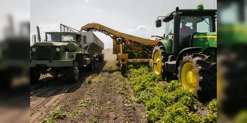 A evolução do recorde deve-se ao aumento de 4,2% na área plantada, aliado ao ganho de 0,3% na produtividade.