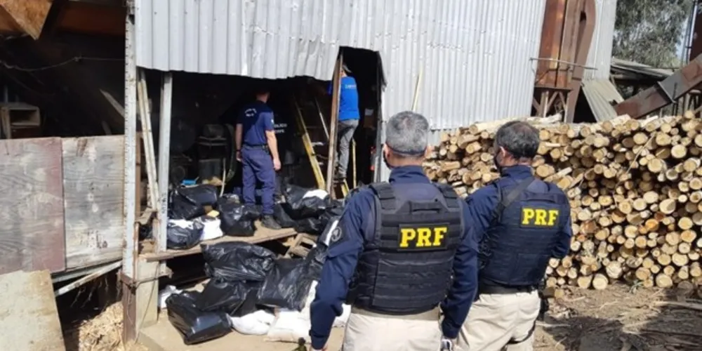 Quantidade é resultado de apreensões realizadas pela PRF e outras forças de segurança