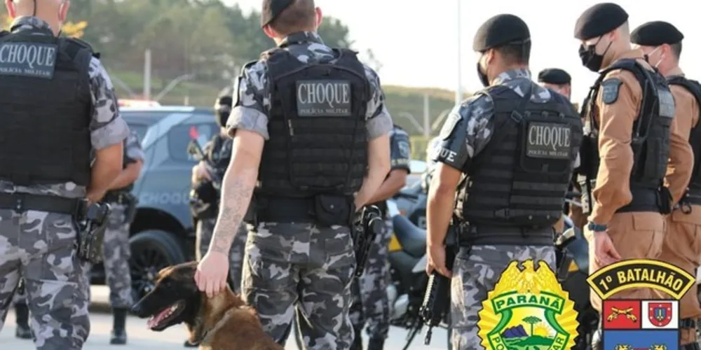 Operação foi deflagrada nessa sexta-feira