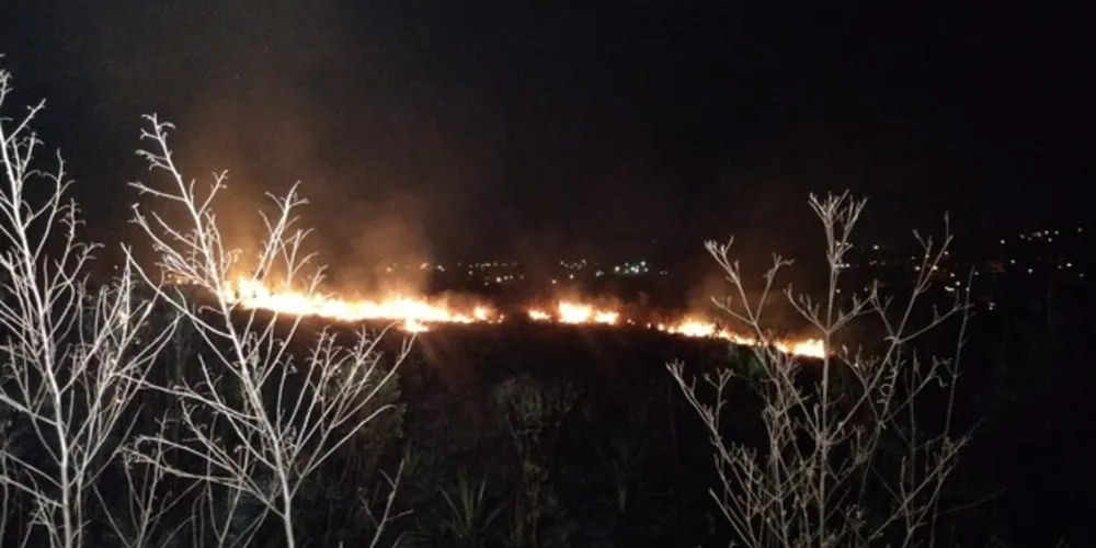 Fogo destruiu vegetação próxima ao Lago de Olarias e deixou gestor municipal revoltado