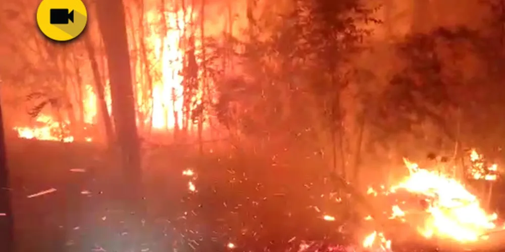 Imagem ilustrativa da imagem Bombeiros levam seis horas para controlar incêndio ambiental