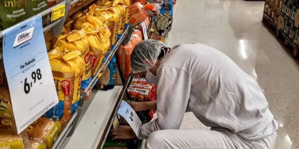 Pesquisa serviu como base para a elaboração da Política Estadual de Ciência, Tecnologia e Inovação