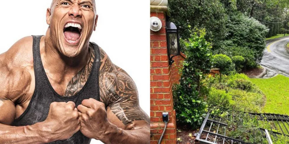 https://www.omelete.com.br/filmes/dwayne-johnson-the-rock-arrancou-portao
