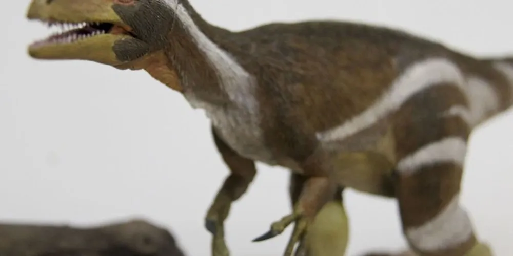 O evento é uma ação do Instituto Brasileiro de Museus (Ibram) e, neste ano, tem o tema Mundo Digital: Museus em Transformação.