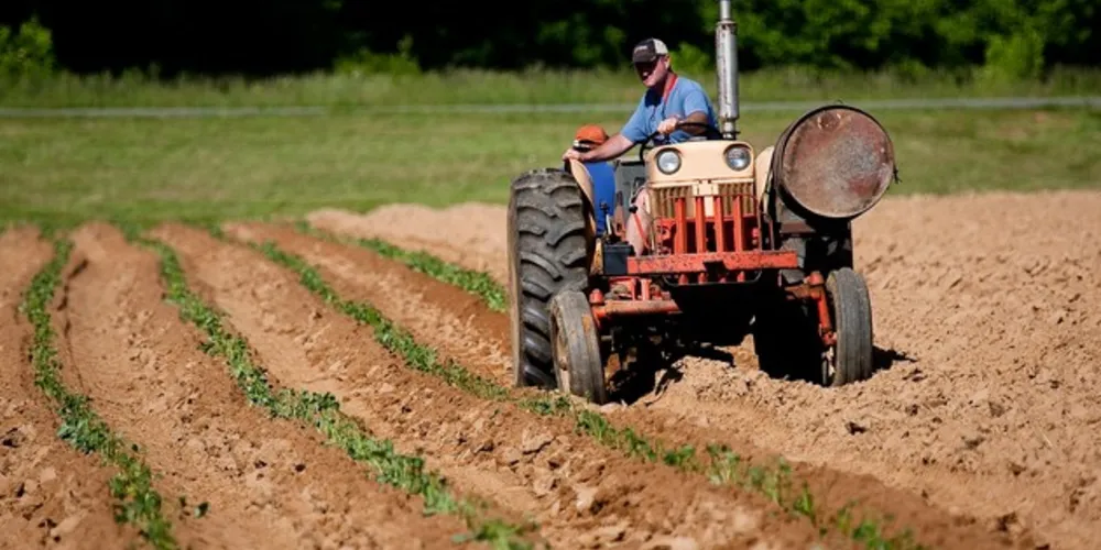 O Fundo surge como nova opção de garantia aos créditos destinados às operações de financiamento do plantio, manutenção e colheita de lavouras e rebanhos, aquisição de veículos, equipamentos, etc.