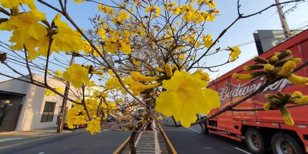 Ciclo deve iniciar às 10h31 de amanhã