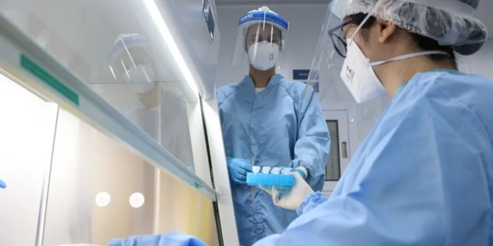 Os pesquisadores analisaram o tecido neural de uma criança que morreu em decorrência da covid-19. 